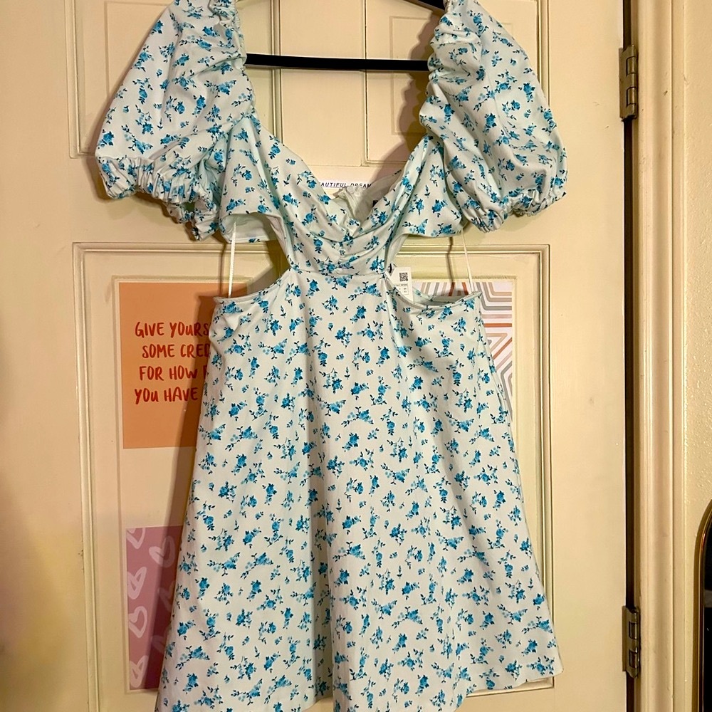NWT Zara dress w/pockets!